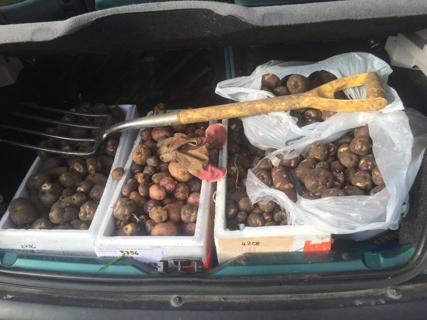 Get involved with our Angel projects